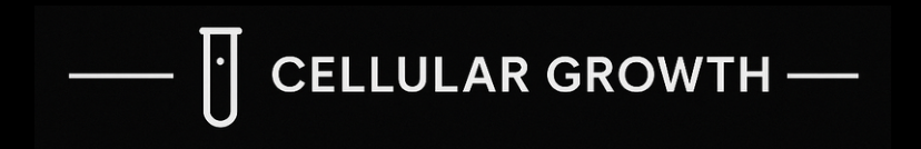 Screenshot 2025-11-15 at 15.35.03.png
